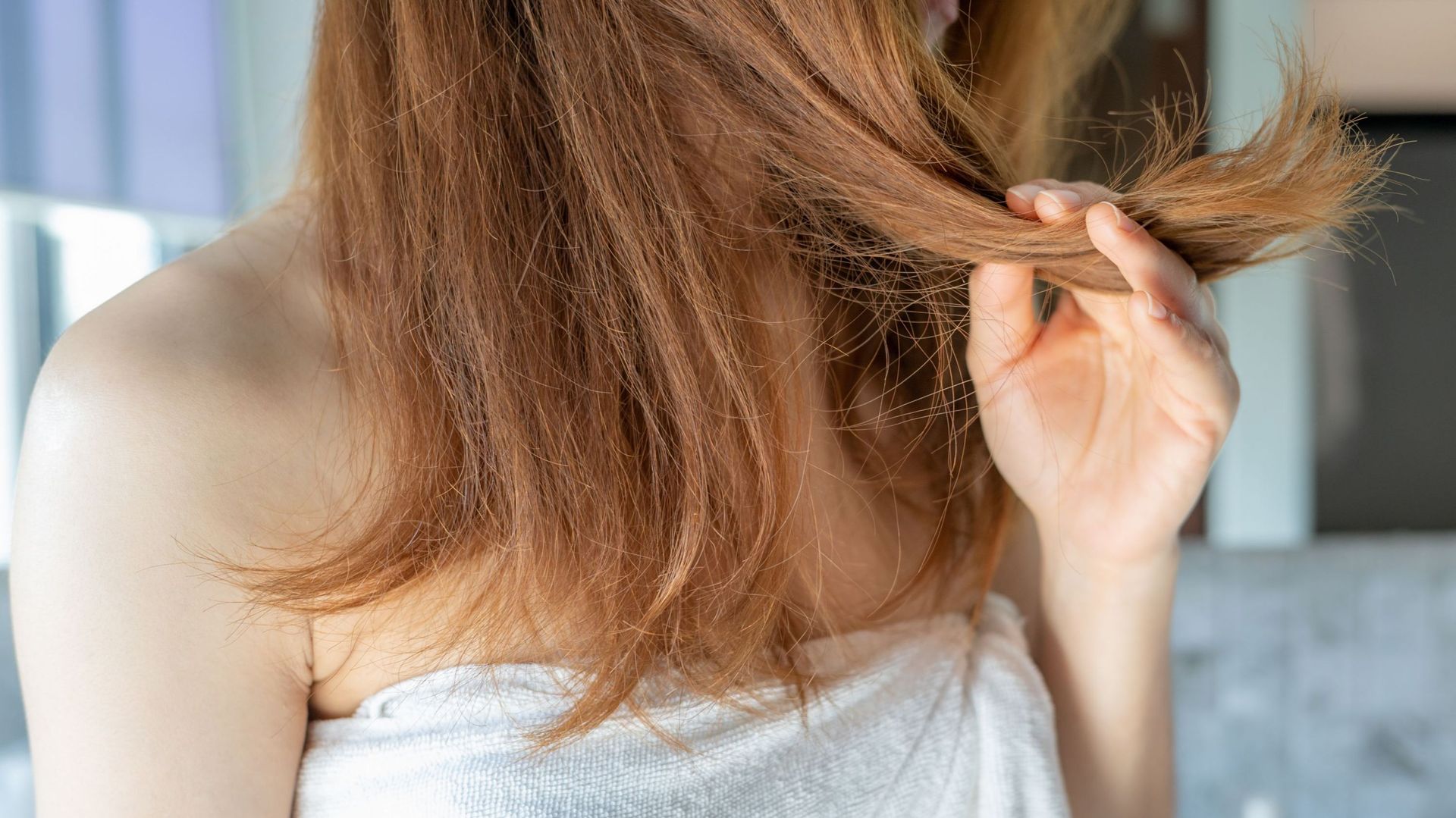 Cheveux et cuir chevelu secs