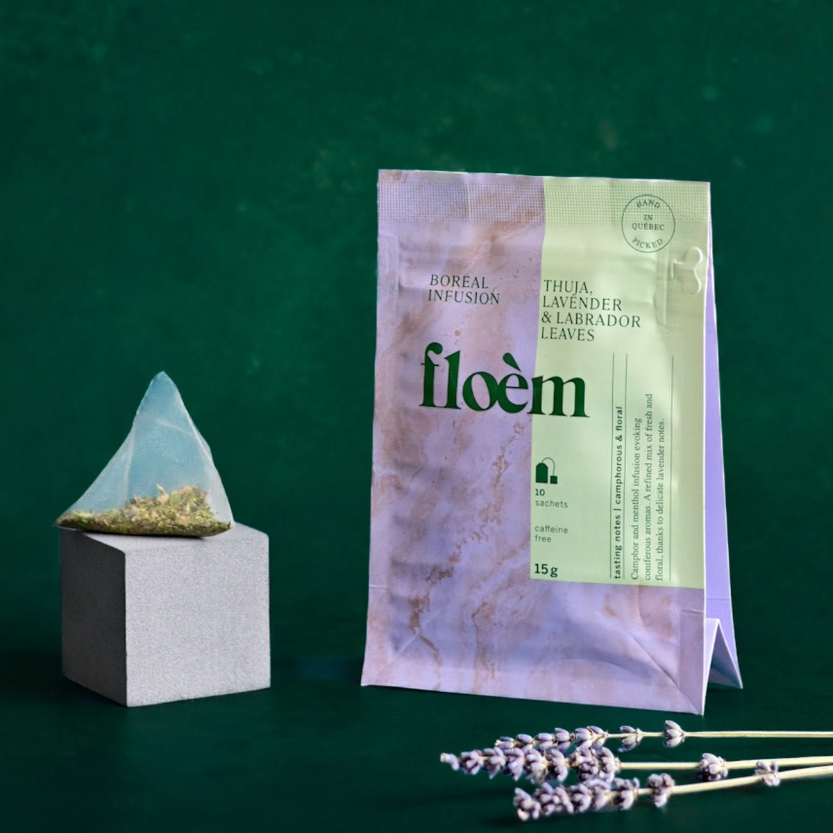 Infusion boréale Thuya & Lavande – Tisane relaxante | Floèm
